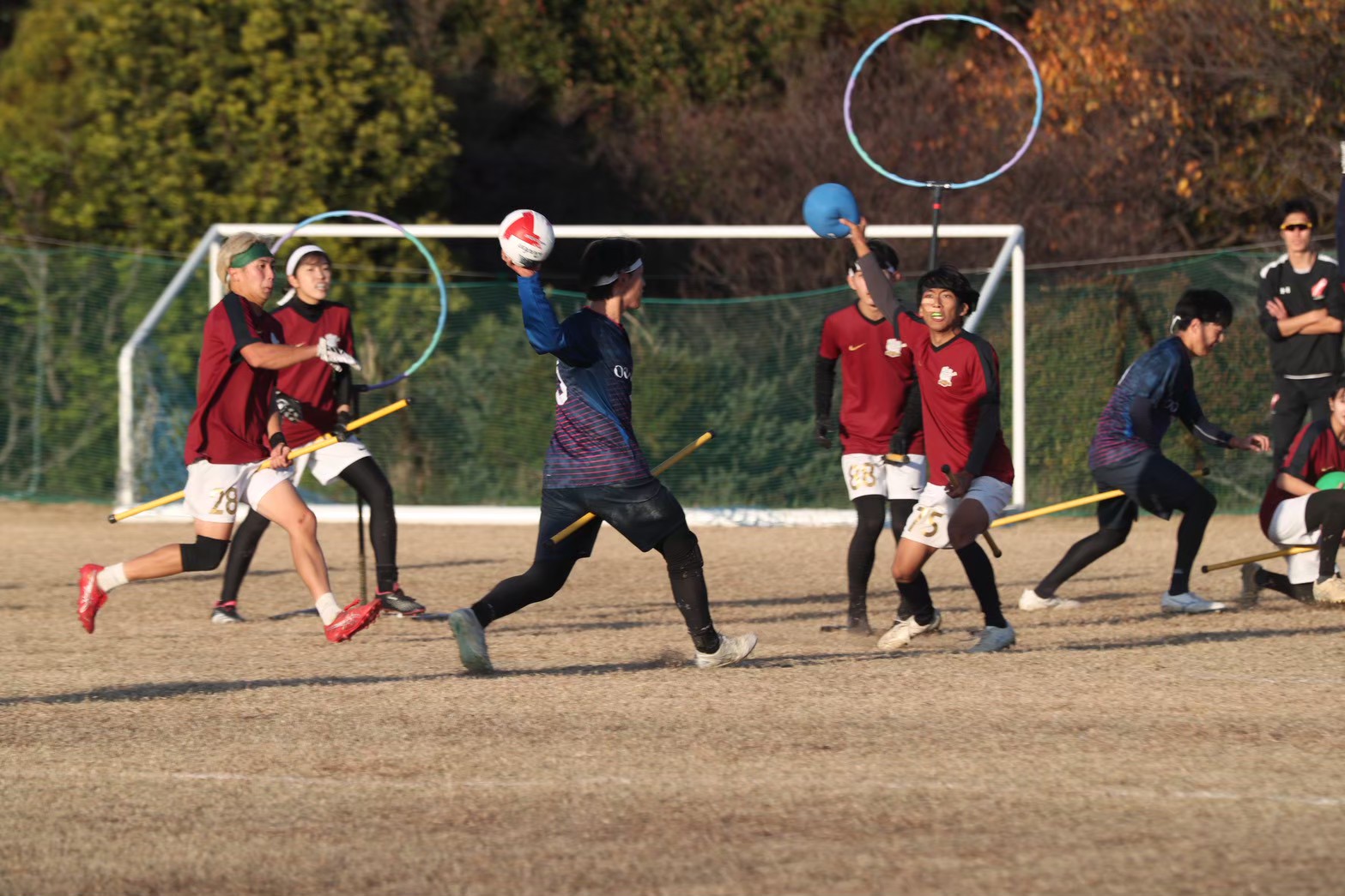 クアッドボールの様子