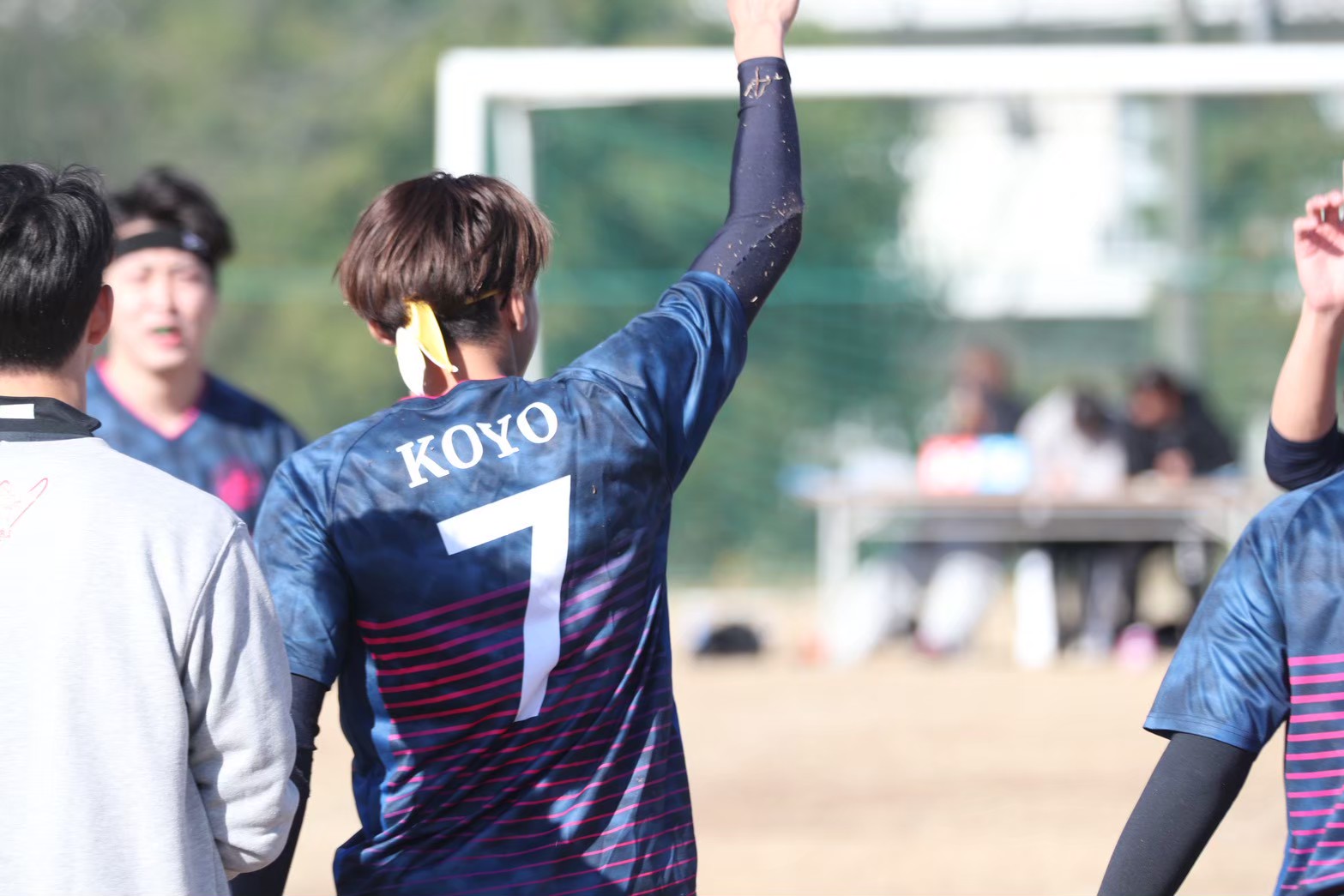 シーカーの様子