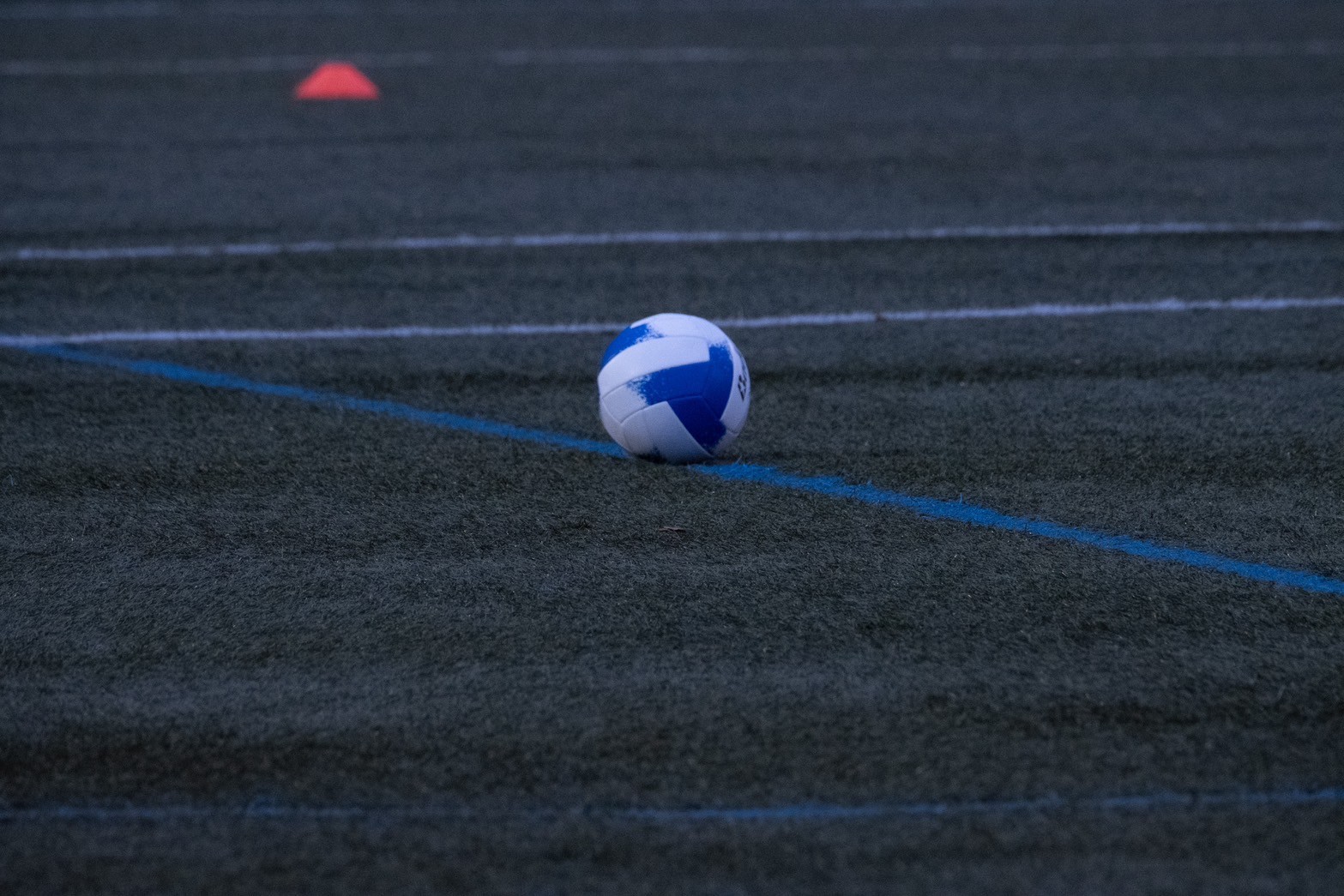 Family Festival in 柏原